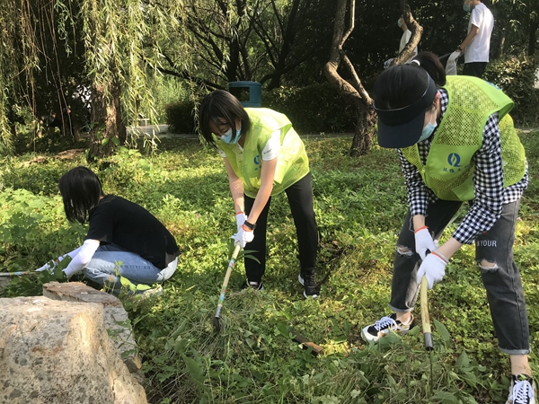 1656580970444986.jpg 图5 学生清除杂草-陈捷.jpg