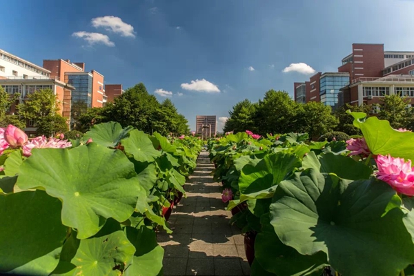 1656654968915920.jpg 书海风荷.jpg