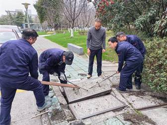 1709019739466646.jpg clip_image020.jpg