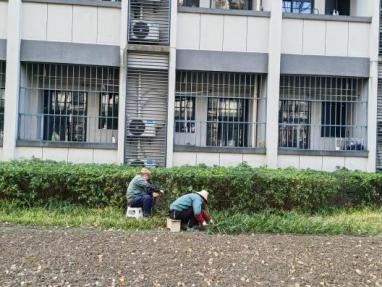 1709020051682290.jpg clip_image043.jpg