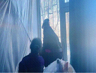 1709623348299941.gif clip_image022.gif