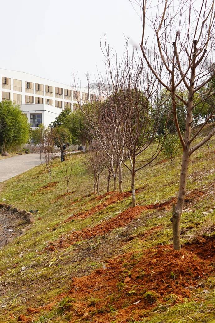 1711005106502725.jpg clip_image014.jpg