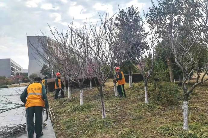 1711005162468032.jpg clip_image026.jpg