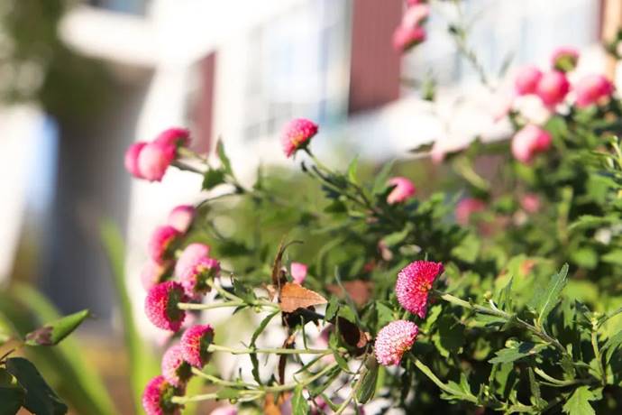 1711005178256718.jpg clip_image022.jpg