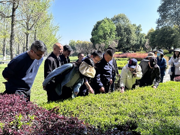 1713338285452698.jpg clip_image005.jpg