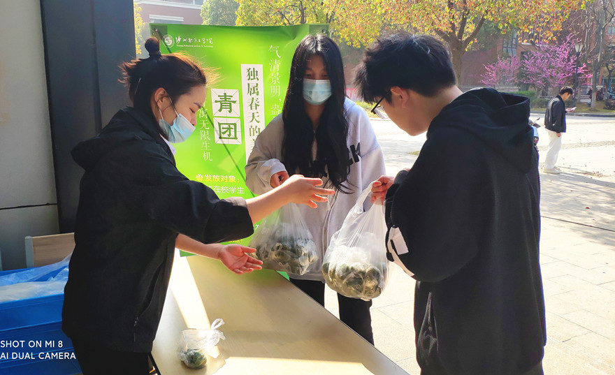 1713343141124927.jpg SGHQ24040201.jpg