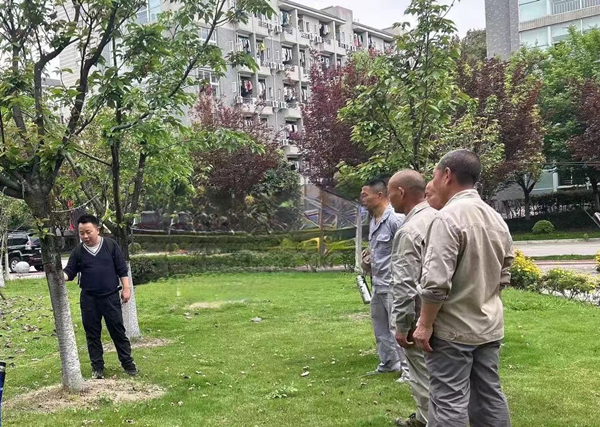 1713766728819714.jpg 照片2.jpg