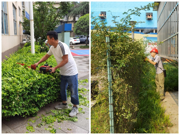 1729240422520336.jpg 2.jpg