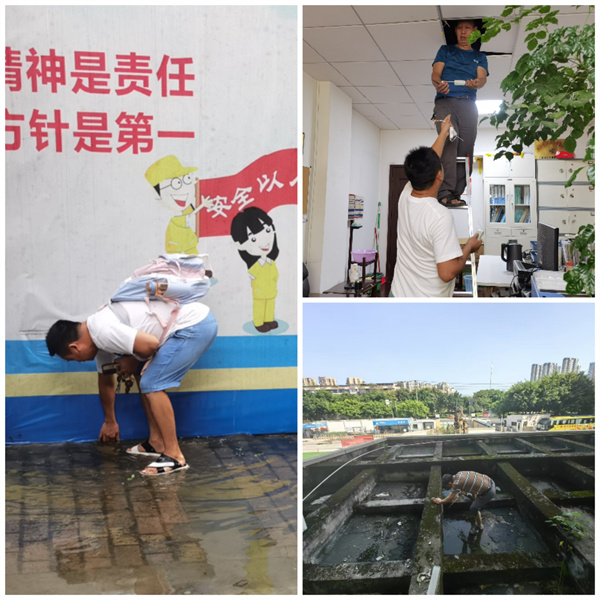 1729240428959607.jpg 3.jpg