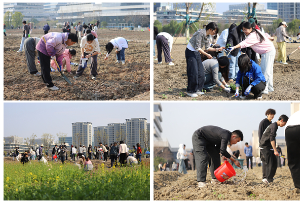 1741848316259957.jpg 1 .jpg