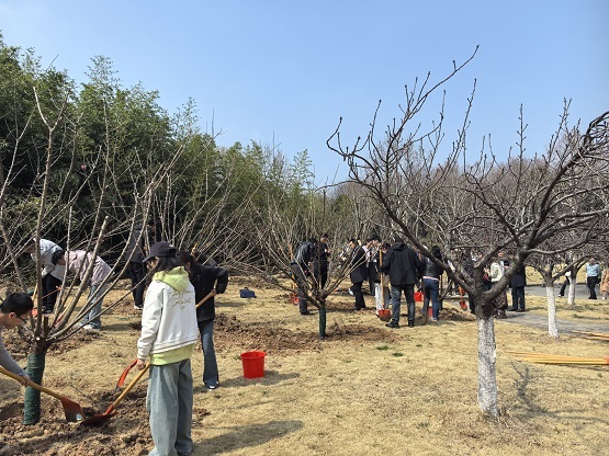 1741851523254269.jpg 图片4.jpg