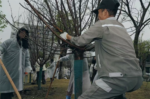 1742288677737420.png 图十六.png