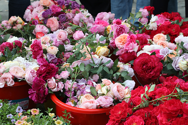 1746673481485283.jpg 图4.JPG