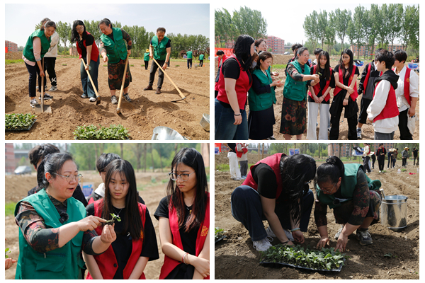 1746772857596195.jpg 光影魔术手拼图.jpg