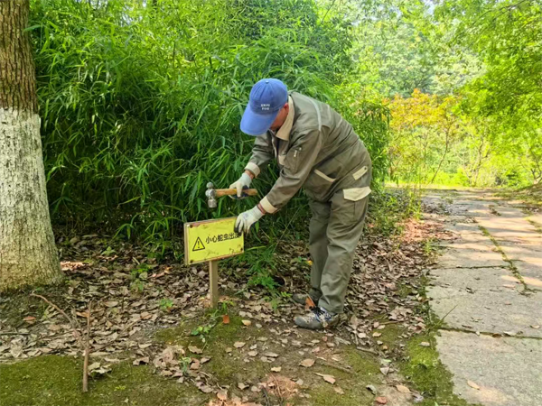 1749545176580650.png 图片8.png