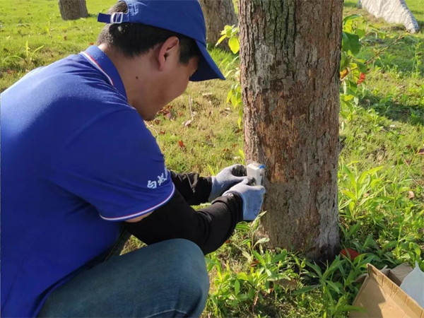 1749545181367369.png 图片9.png